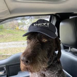 Meet your Posher, James